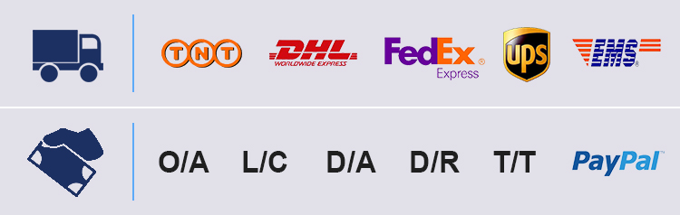 outdoor speaker for car