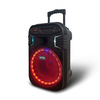 12" LED Light Woofer Outdoor RGB Lights Bluetooth trolley Speaker QJ-1029