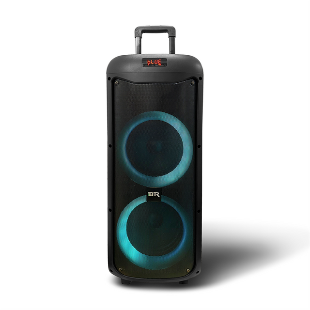 OEM 8 Inch Portable Wireless Private Mould Bluetooth Speaker Trolley QJ-5051