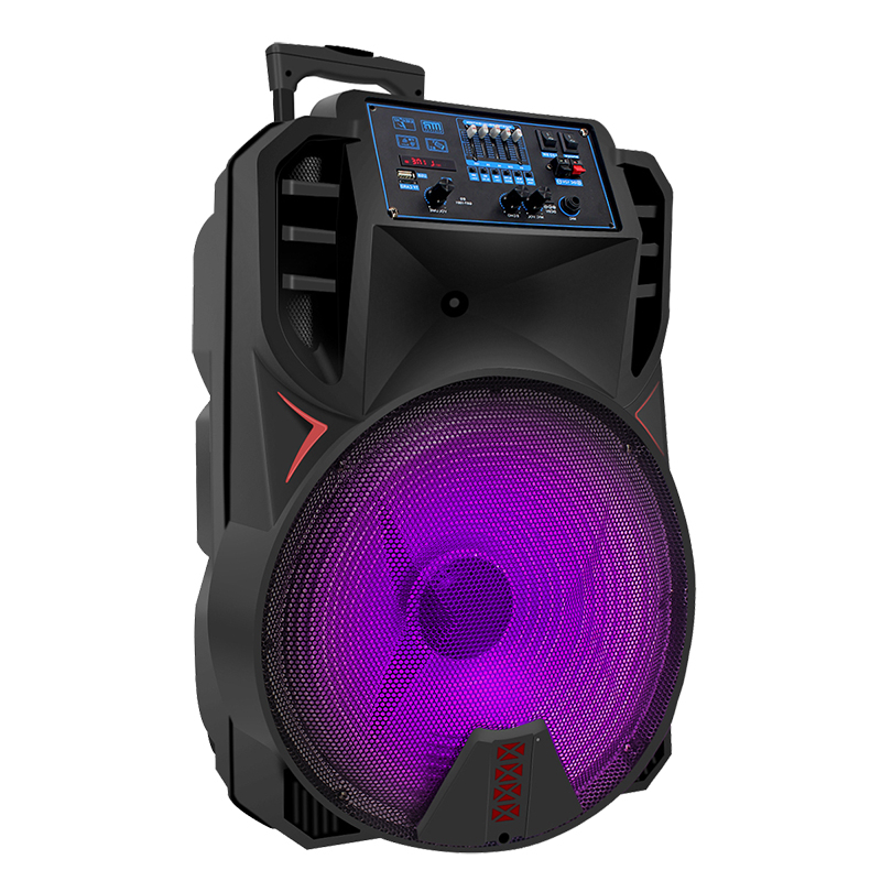 Speaker with fm bluetooth Portable Speaker 15 Inch Sound System