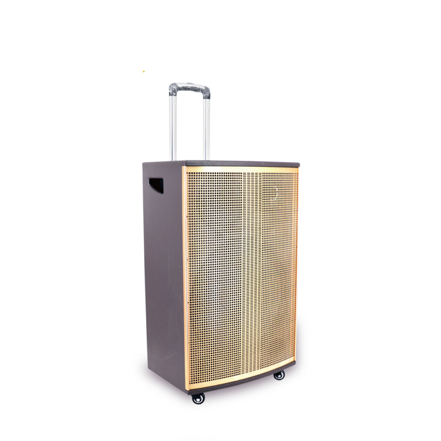 New Arrival Bluetooths Wireless Portable Trolley Speaker Pa