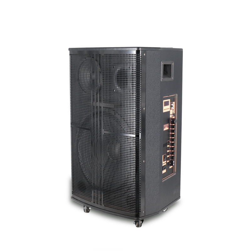 BIG 15 Inch Wooded Cabinet with 200w Portable Speaker From Guangdong Factory