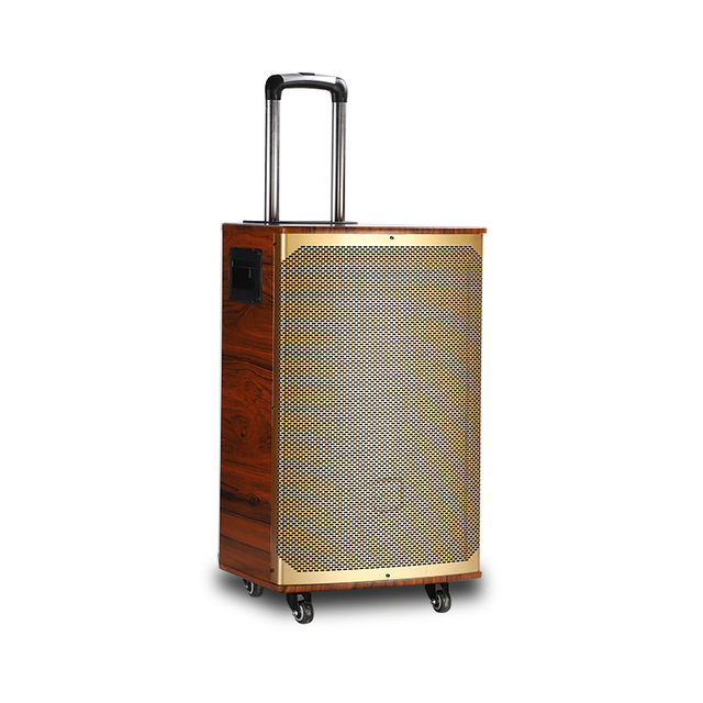 Gold Wooden 12 Inch Blue Tooth Outdoor Party Speaker with 80w