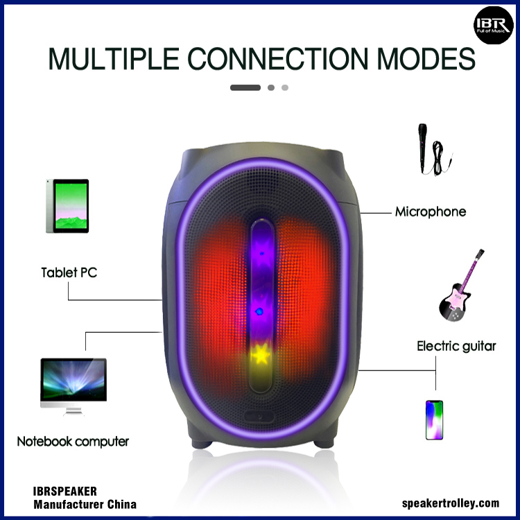 Portable Outdoor Karaoke Machine IBR-T312 (8)