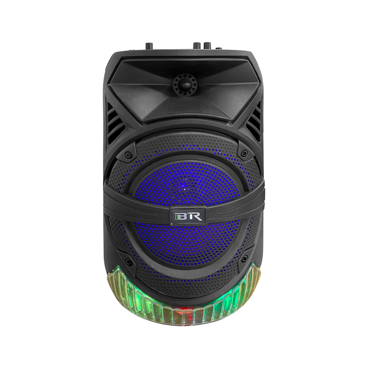 Sing Your Heart Out Anywhere Anytime with Portable Wireless Karaoke Systems