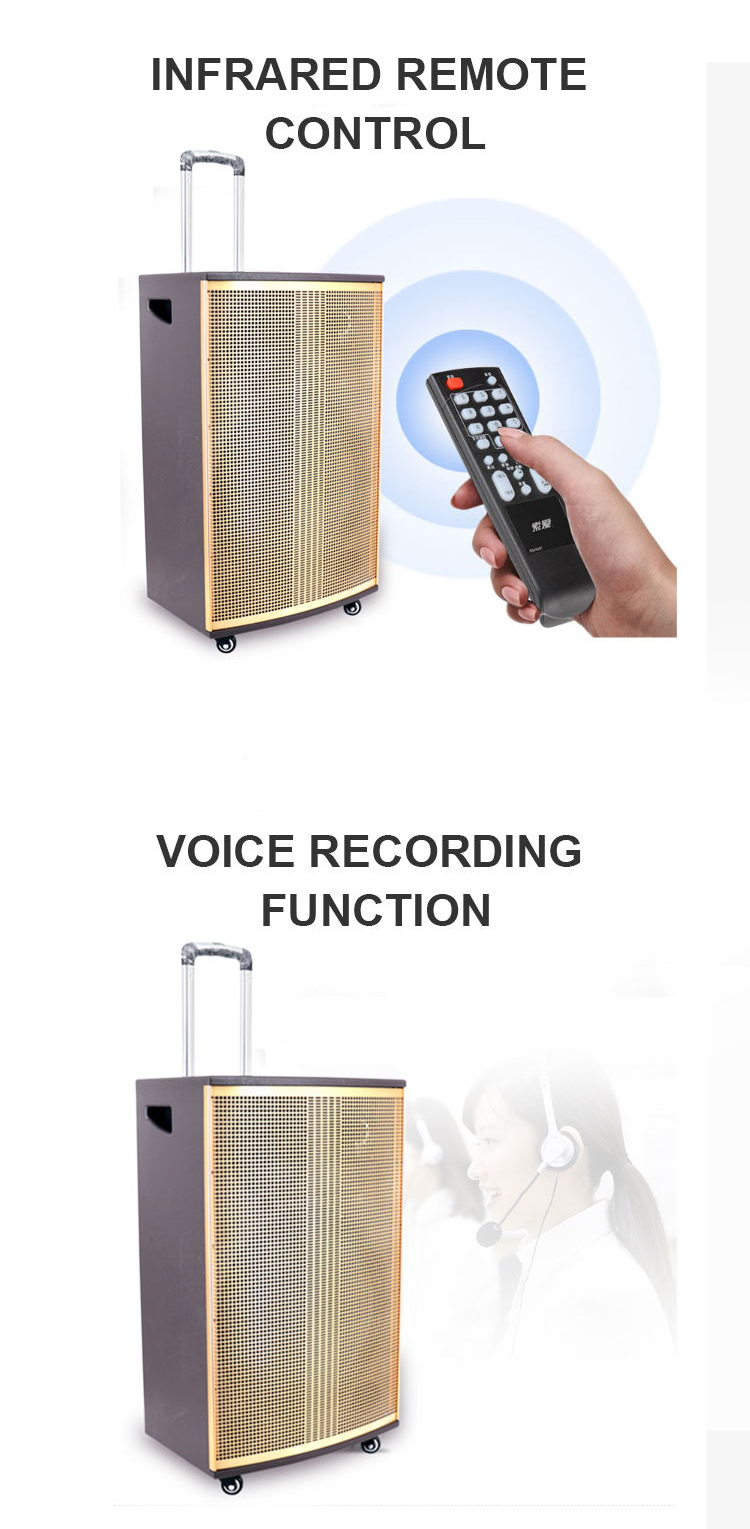 outdoor speaker for projector