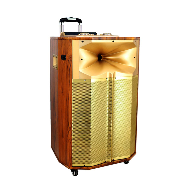 High Quality 15 Inch Wireless Portable Audio Player Use Active Trolley Speaker