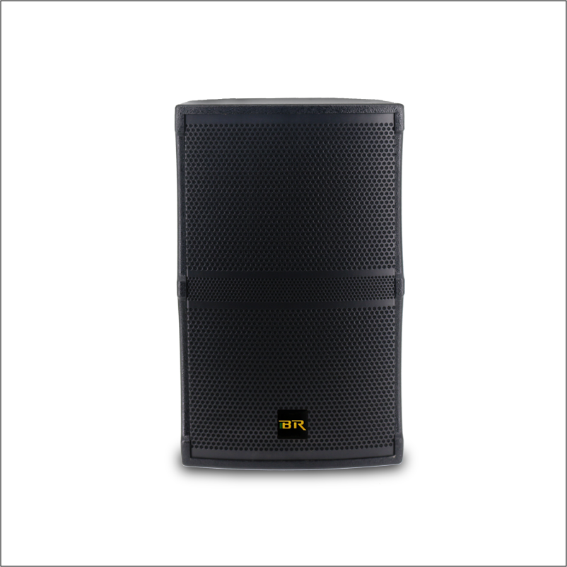12 Inch Professional Speaker for Stage Indoor Audio System