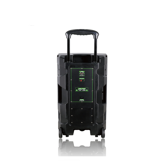 Amazon 2020 Hot Sale Wireless Speaker and Plastic Box 12inch Speaker