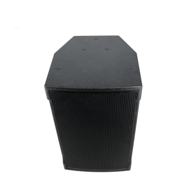 12 inch 300 Watt Pro Audio speaker for meeting room and stage