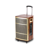 Active Power Guitar And USB Wood Portable Speaker Sound System