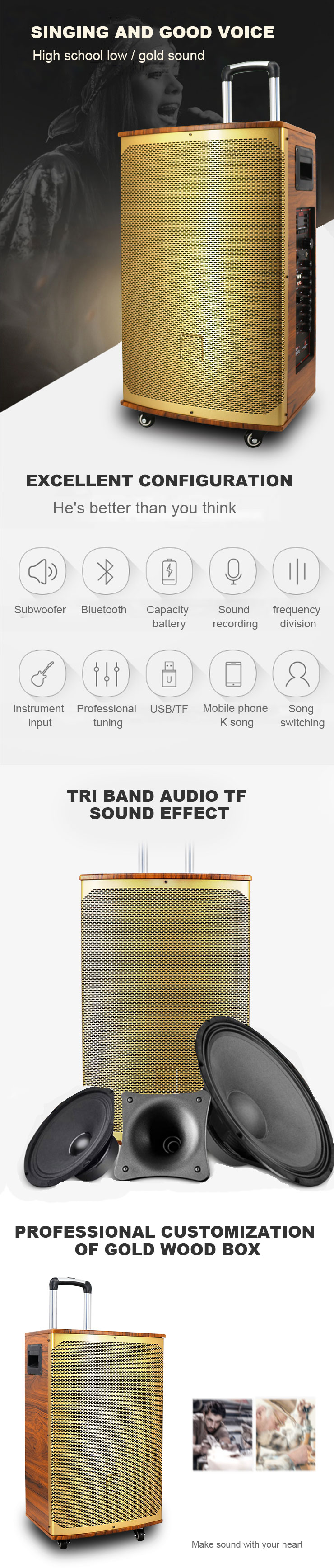 outdoor rock speaker