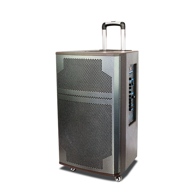 Portable 15 Inch Outdoor Speaker for Home Trolley Dj Party Speaker