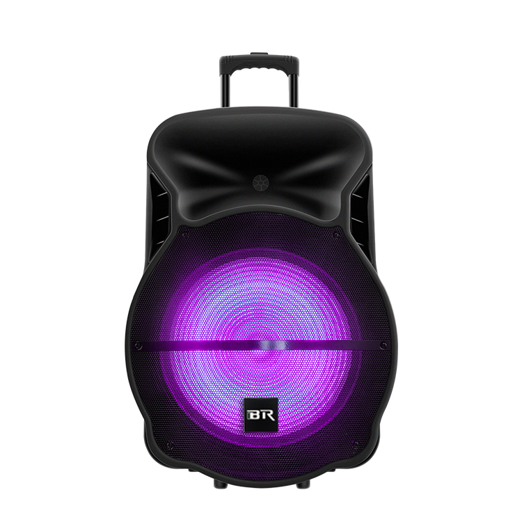 Dj Party Power 18 Inch Portable Speaker with Sound Control And Led