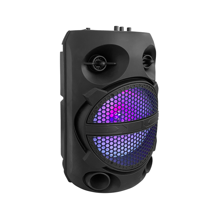 Colorful Led Light Dual 8 Inch Portables Party Speaker QJ-K80