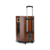 Active Power Guitar And USB Wood Portable Speaker Sound System