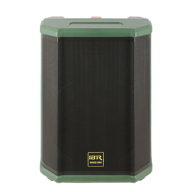 8 Inch green Portable Speaker Guitar Speaker for instrument live speaker