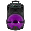 2022 Outdoor Cheap Hot Sale 100w Plastic Speaker with Trolley Led Light