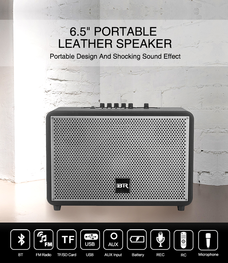 bluetooth party speaker