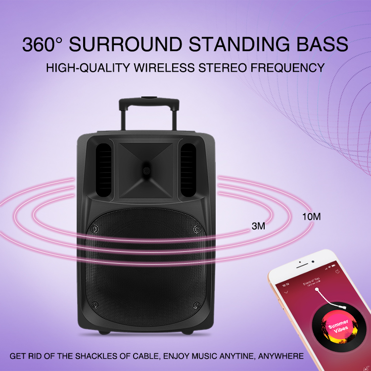 best speaker for karaoke system