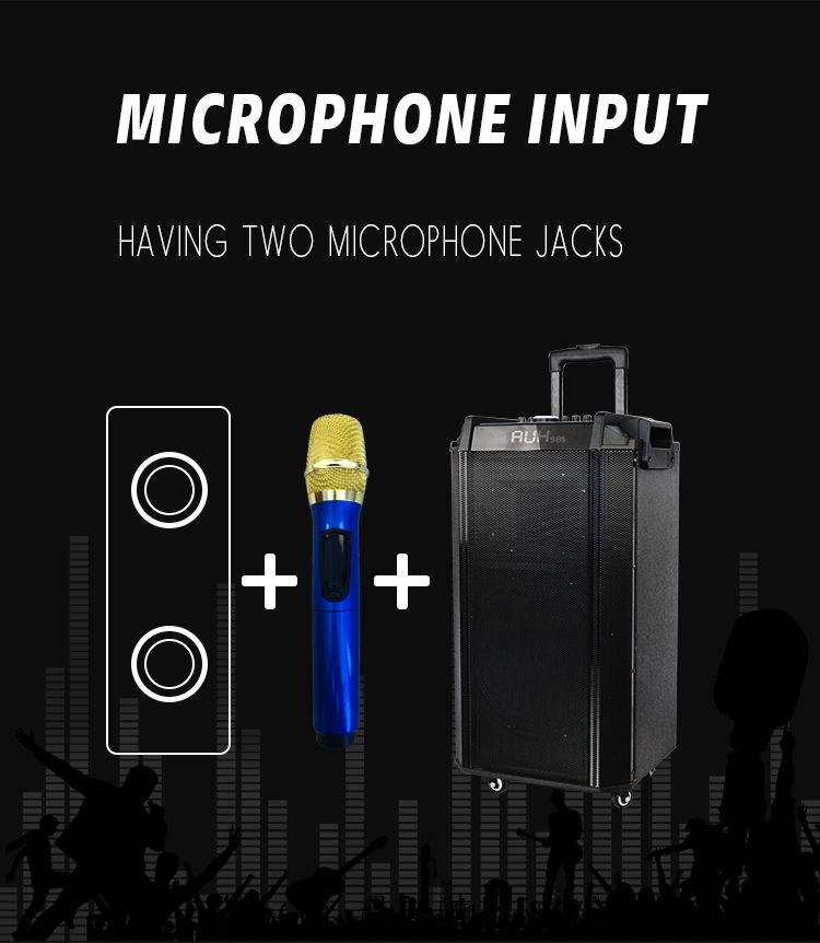 outdoor radio system