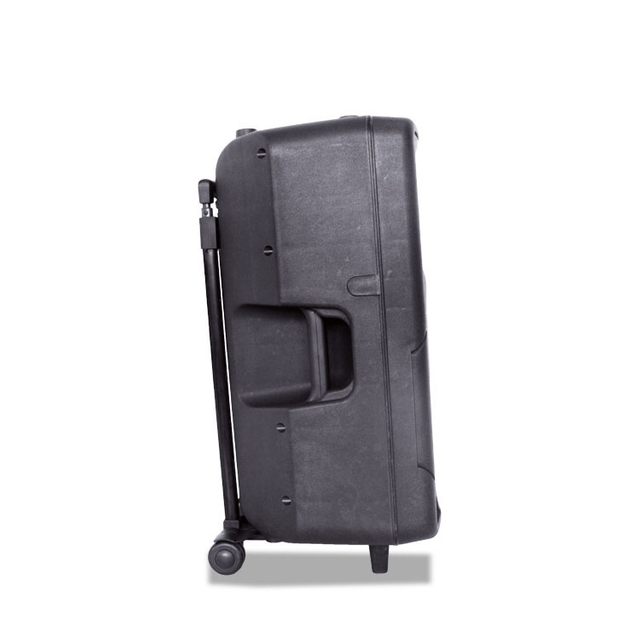 Hifi Woofer Audio Portable USB Speaker Blue Tooth Portable 15 Inch Speaker