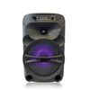 Portable Two-way wireless speaker with MIC from factory China QJ-T320