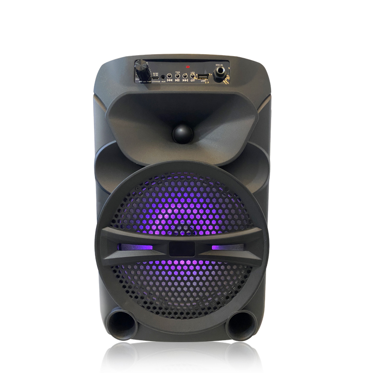 Portable Two-way wireless speaker with MIC from factory China QJ-T320