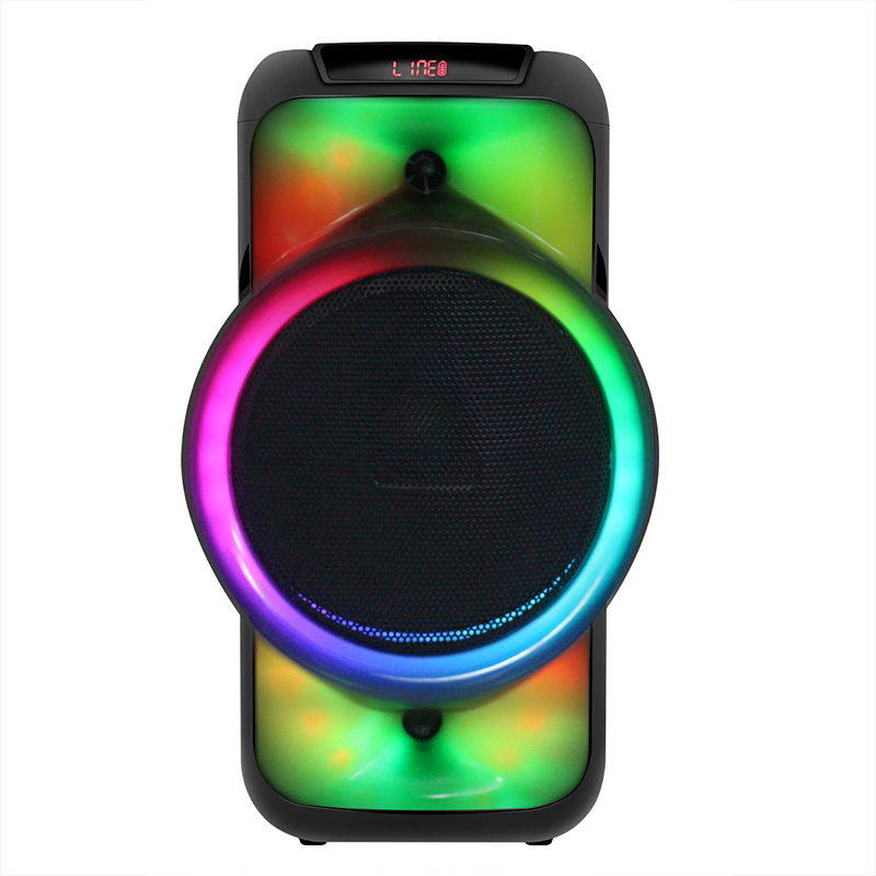 Unique design colorful led light dual 8 inch bluetooth portable karaoke speaker box