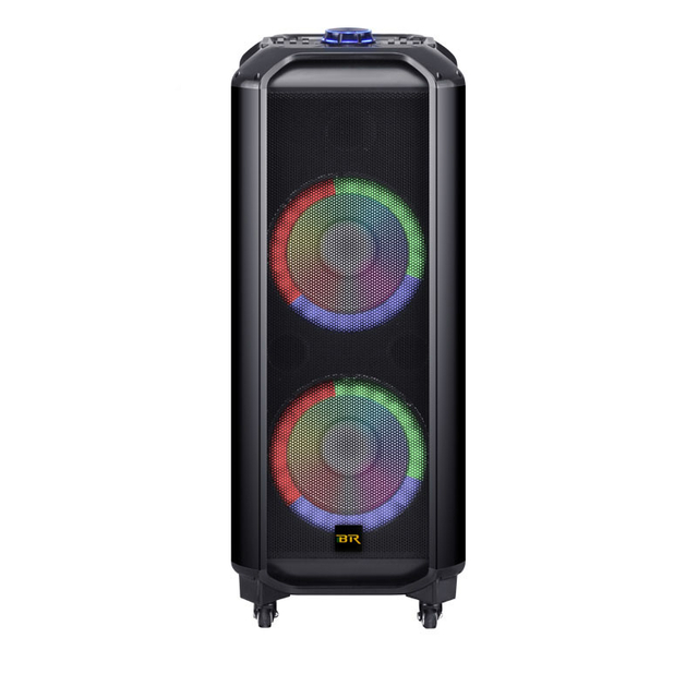 Dual 10 Inch Small Speaker with LED Light Ring