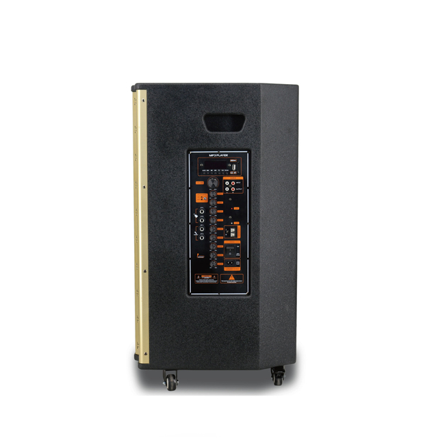 15 Inch Gold Wooden Large Trolley Speaker with Bluetooth