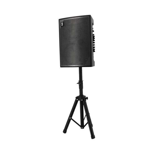 Professional 15 Inch 250W Acoustic Warehouse Guitar Speakers Amplifier Speaker