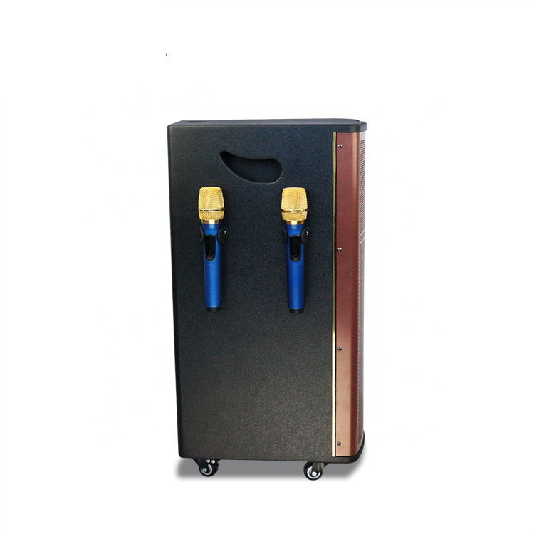 Powered Professional Studio Stereo Audio Portable Super Bass Speaker