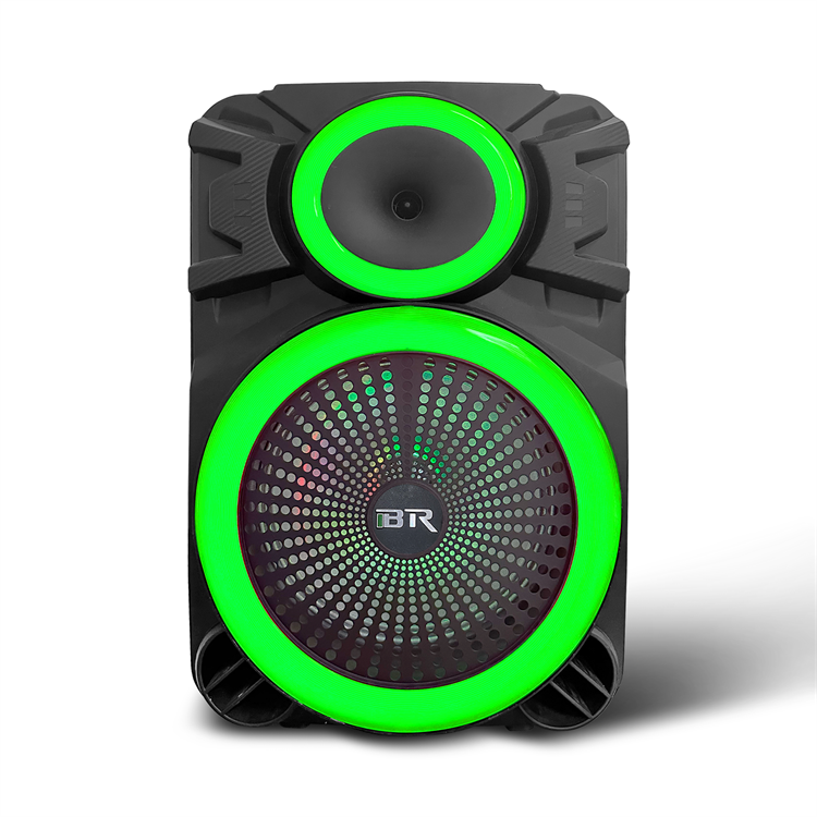 12" Woofer Outdoor Bluetooth Speaker QJ-2177 from manufacturer China