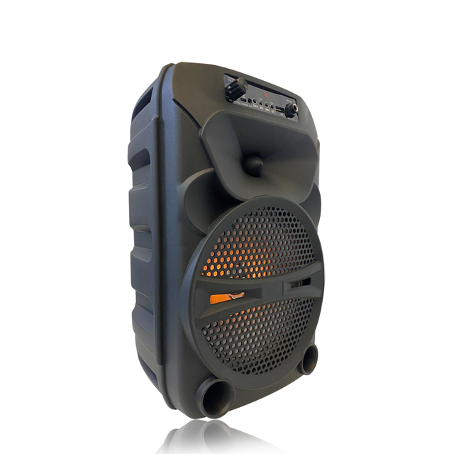 Portable Two-way Wireless Speaker with MIC From Factory China QJ-T320