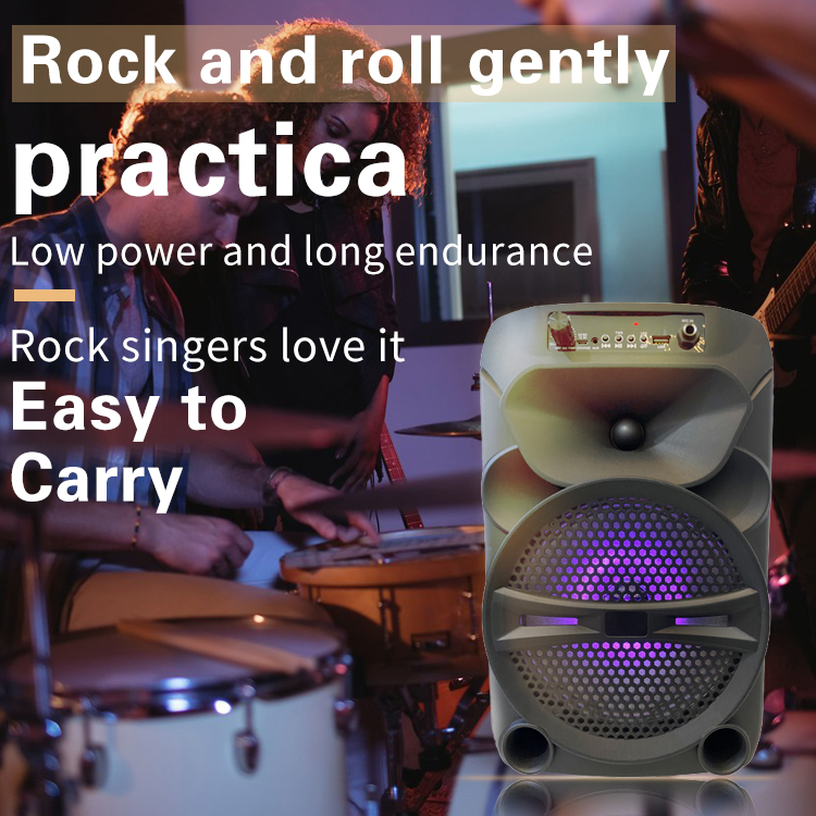 8 inch woofer party speaker form China