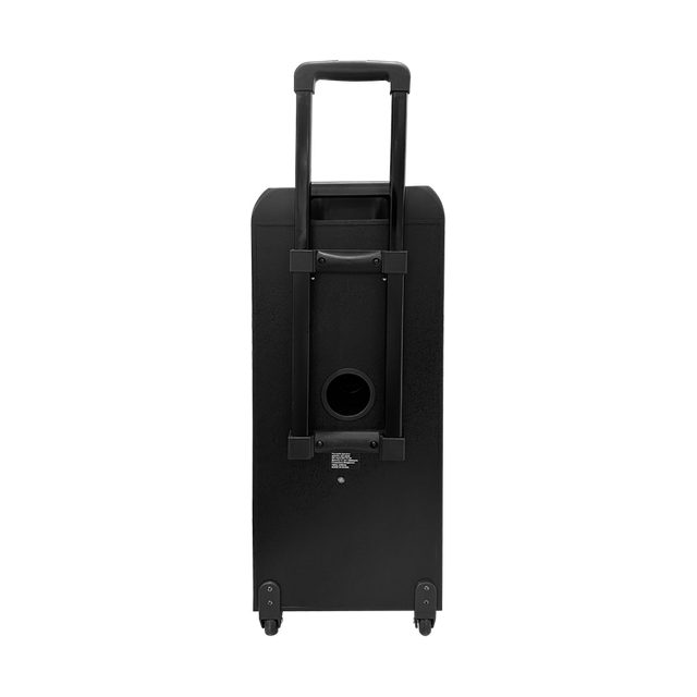 OEM 8 Inch Portable Wireless Private Mould Bluetooth Speaker Trolley QJ-5051