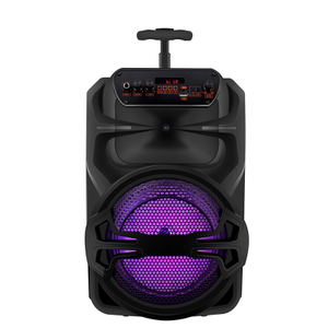IBR brands outdoor bluetooth karaoke 8 inch trolley music speaker box with lights