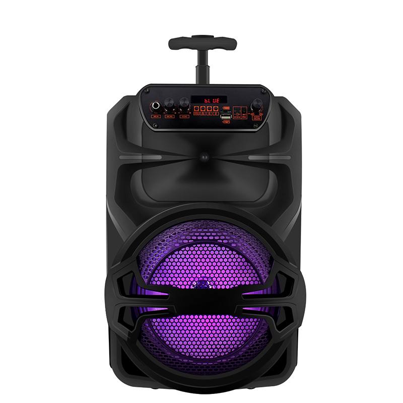 IBR brands outdoor bluetooth karaoke 8 inch trolley music speaker box with lights