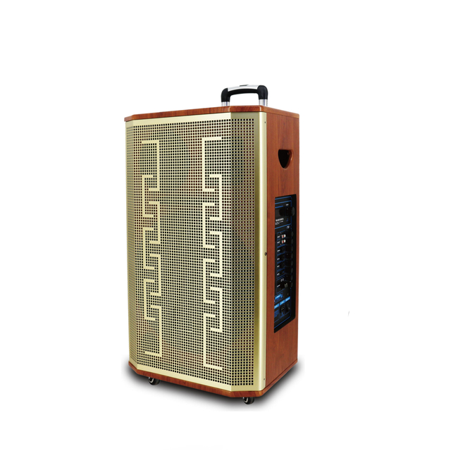 Gold Wood Outdoor Speaker for Party with Big Power