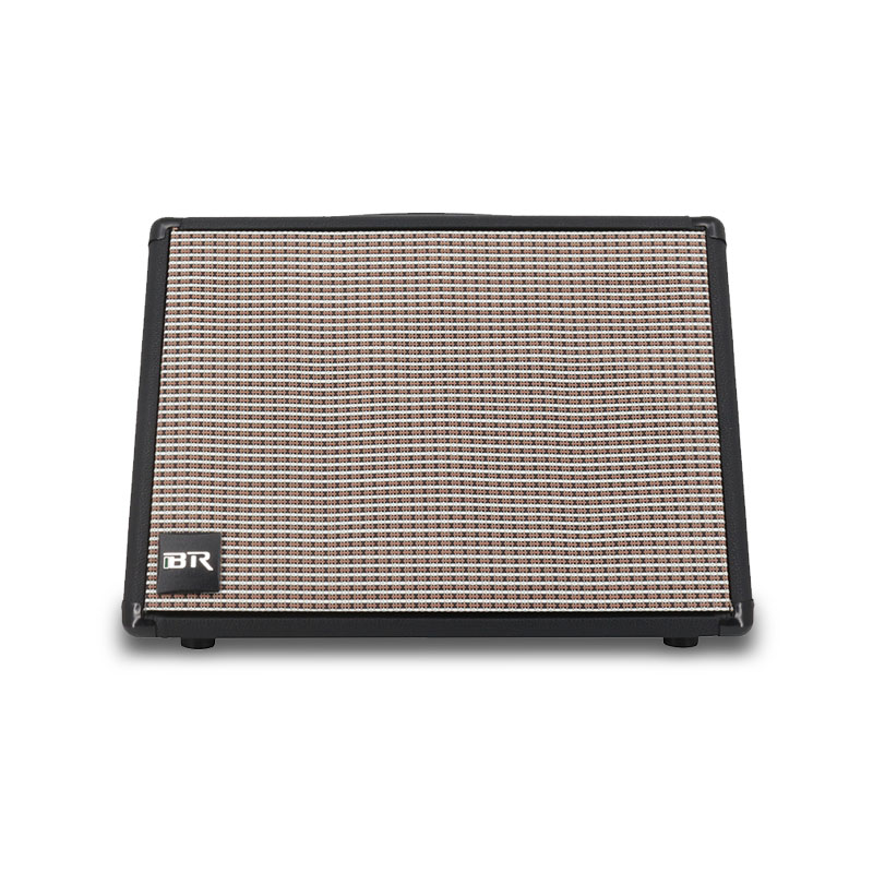 Dual 8 Inch Live Portable Speaker with Guitar Function with Mesh