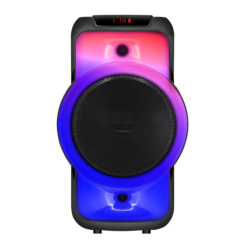 Unique design colorful led light dual 8 inch bluetooth portable speaker
