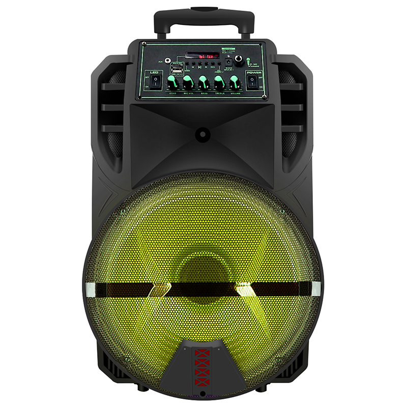 2022 Outdoor karaoke 100w Plastic Speaker with Trolley Led Light
