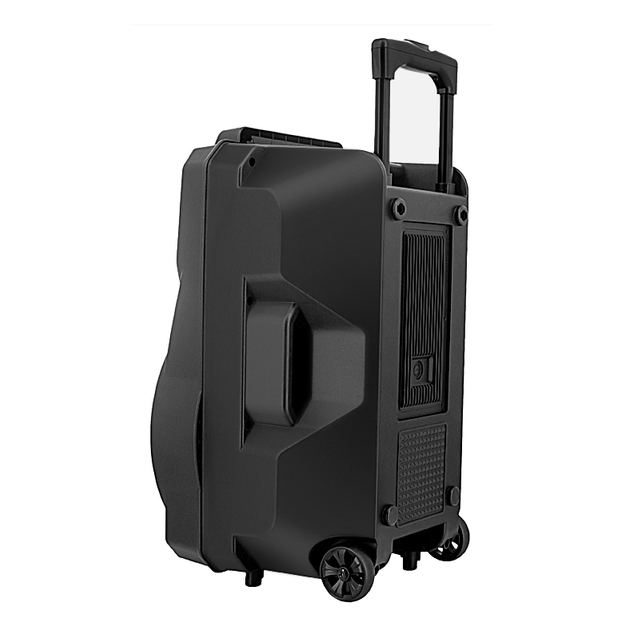 2022 Outdoor Cheap Hot Sale 100w Plastic Speaker with Trolley Led Light