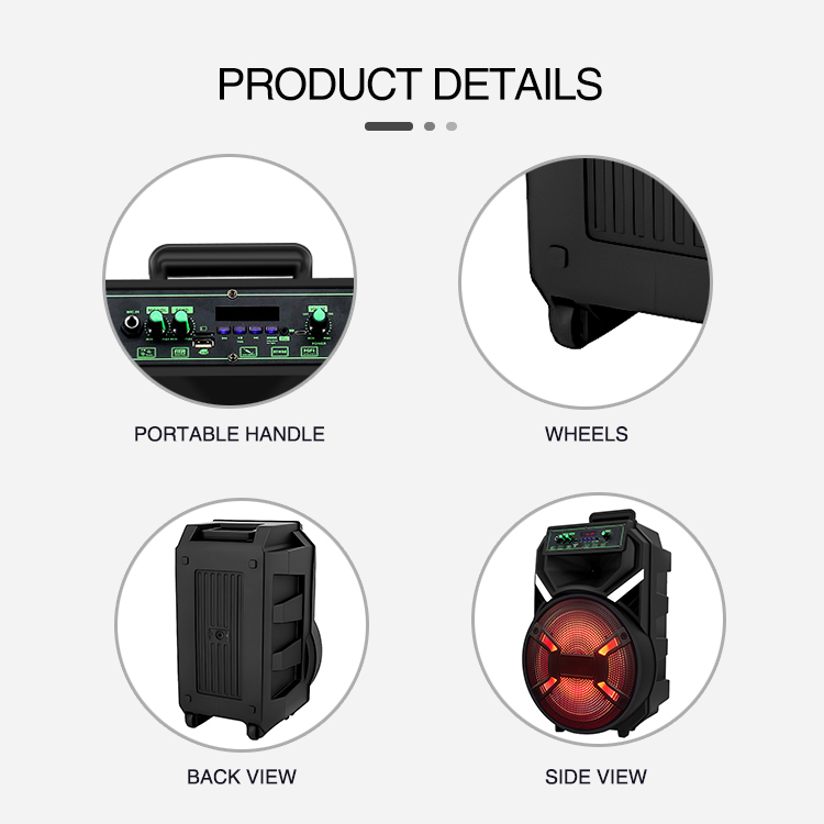 12 inch karaoke speaker