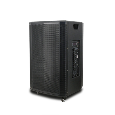 15 inch trolley speaker with 80W for meeting and outdoor