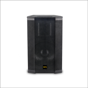 12 Inch 300 Watt Professional Audio Speaker for Stage Indoor Use