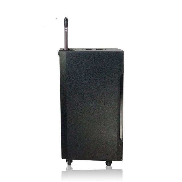 Professional Speaker Audio System Sound Speaker Outdoor Stage Frequency Speaker
