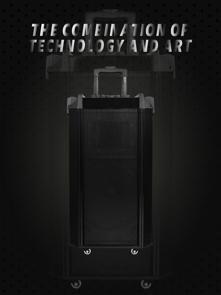 turtle shell speaker