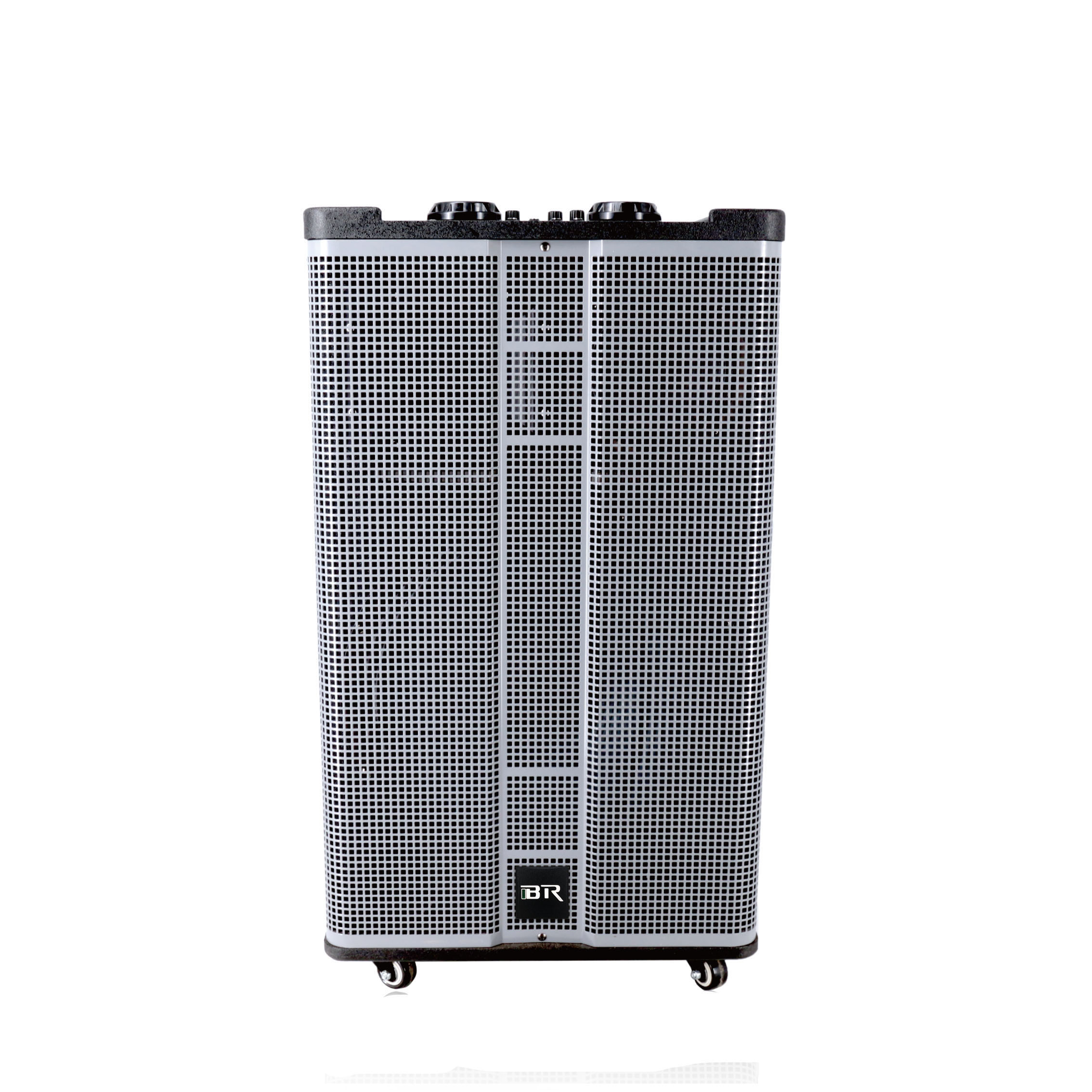 outdoor speaker from costco